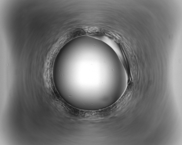 X0000087641345200705101039