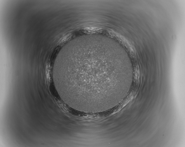 X0000087641346200705101039