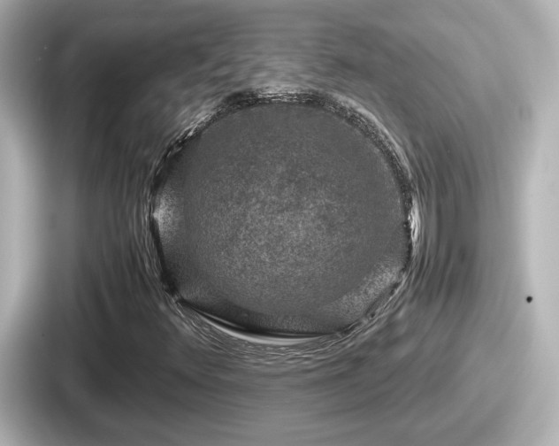 X0000087641348200705101039