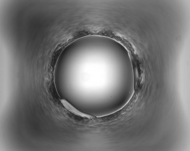 X0000087641349200705101039