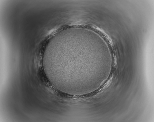 X0000087641350200705101039