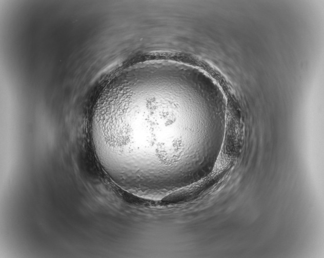 X0000087641351200705101039