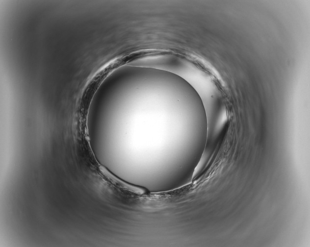 X0000087641352200705101039