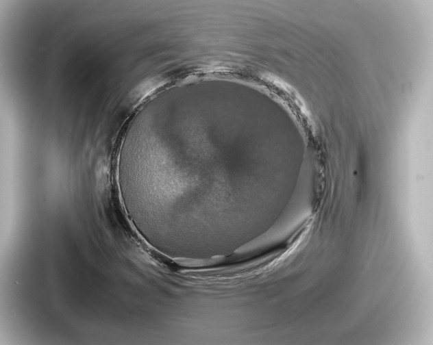 X0000087641353200705101039