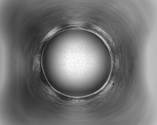 X0000087641354200705101039