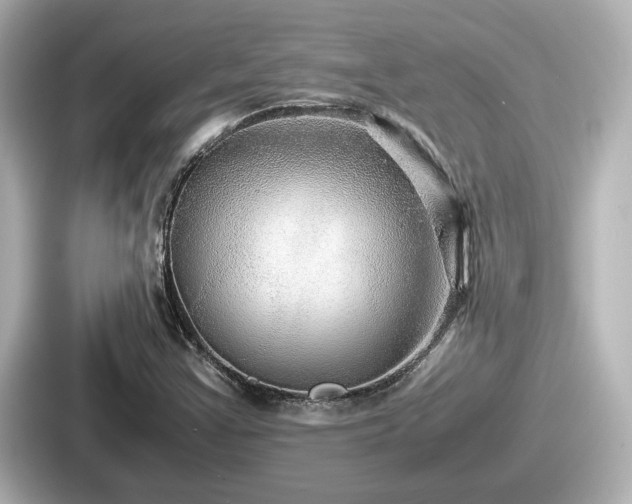 X0000087641355200705101039