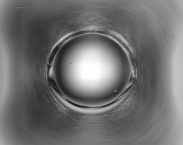 X0000087641356200705101039