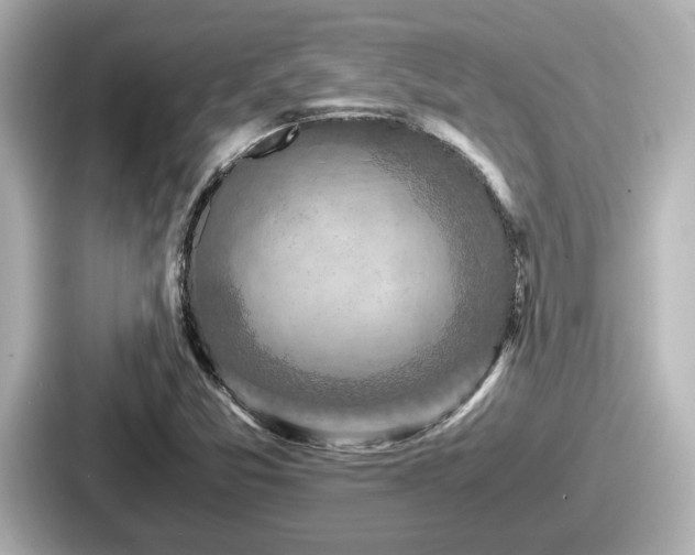 X0000087641357200705101039