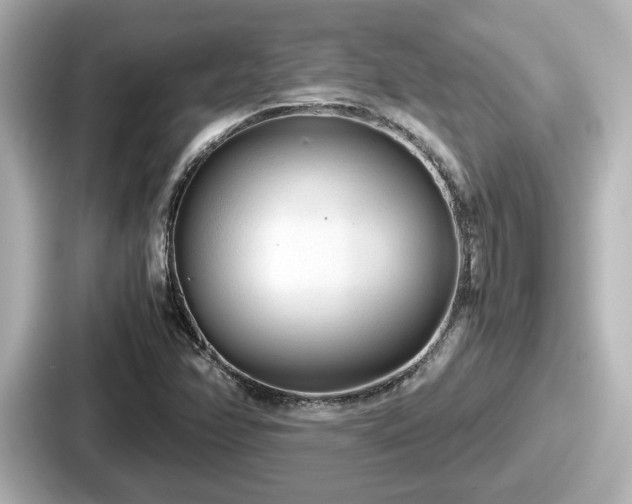 X0000087641358200705101039