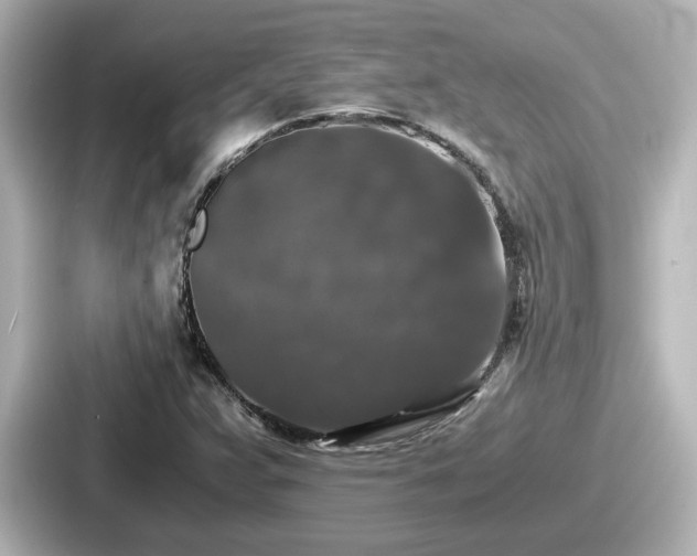 X0000087641359200705101039