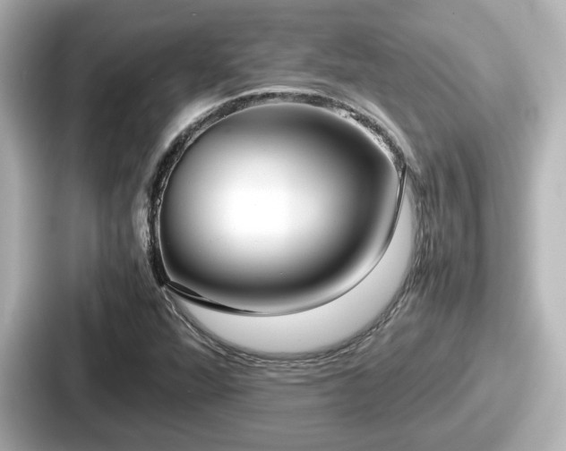 X0000087641360200705101039