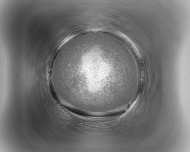 X0000087641361200705101039