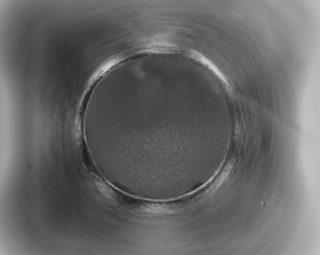 X0000087641362200705101039