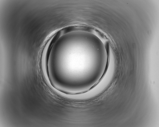 X0000087641363200705101039