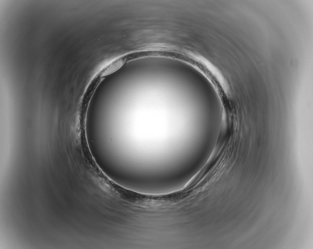 X0000087641364200705101039