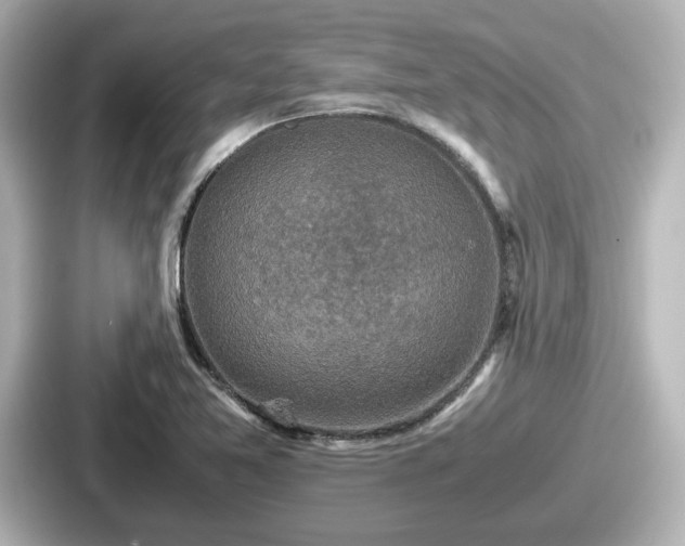 X0000087641365200705101039