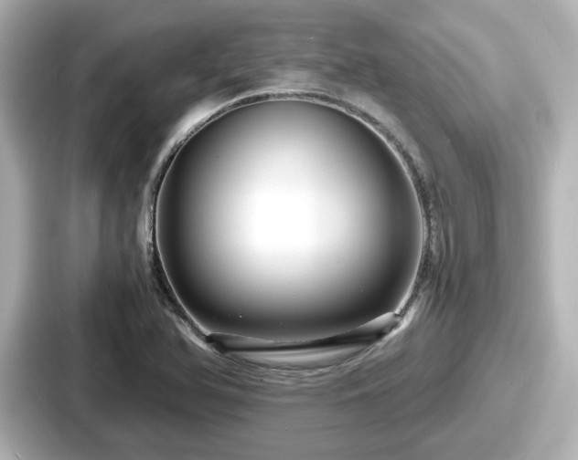 X0000087641366200705101039