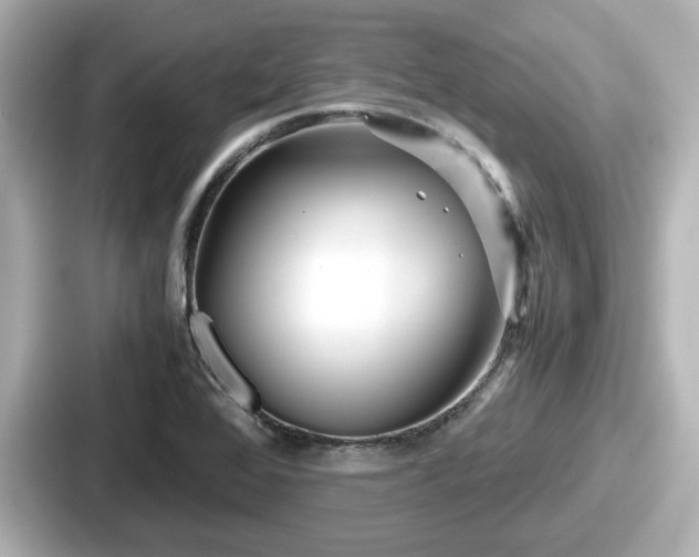 X0000087641368200705101039