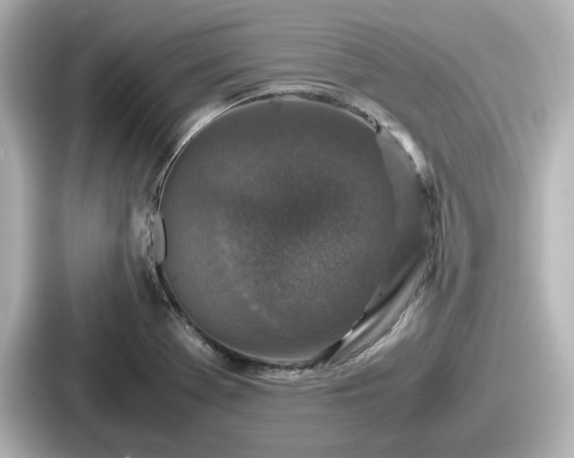 X0000087641369200705101039