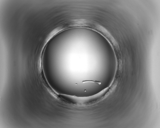 X0000087641370200705101039