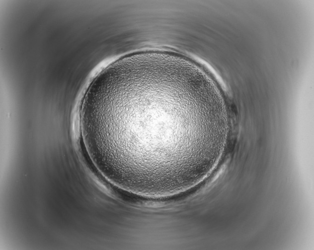 X0000087641371200705101039