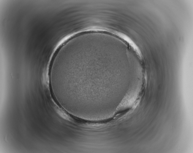 X0000087641372200705101039