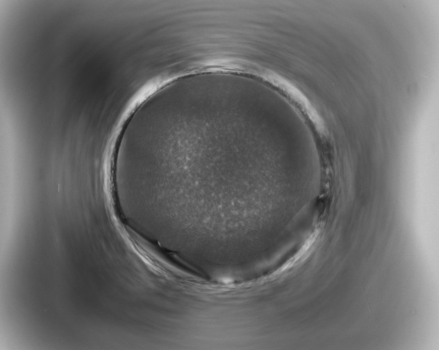 X0000087641373200705101039