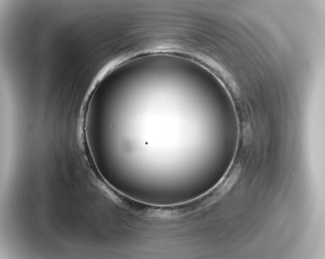 X0000087641374200705101039