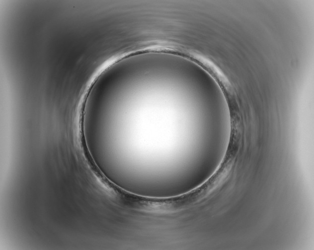 X0000087641375200705101039