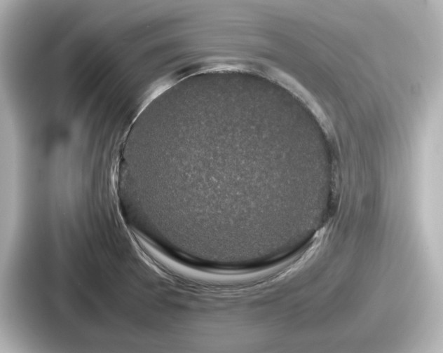 X0000087641377200705101039