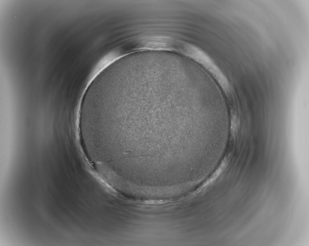 X0000087641378200705101039