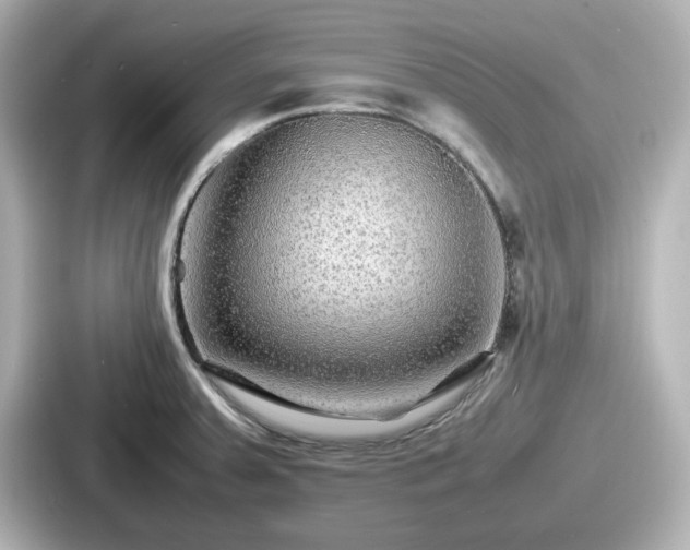 X0000087641379200705101039