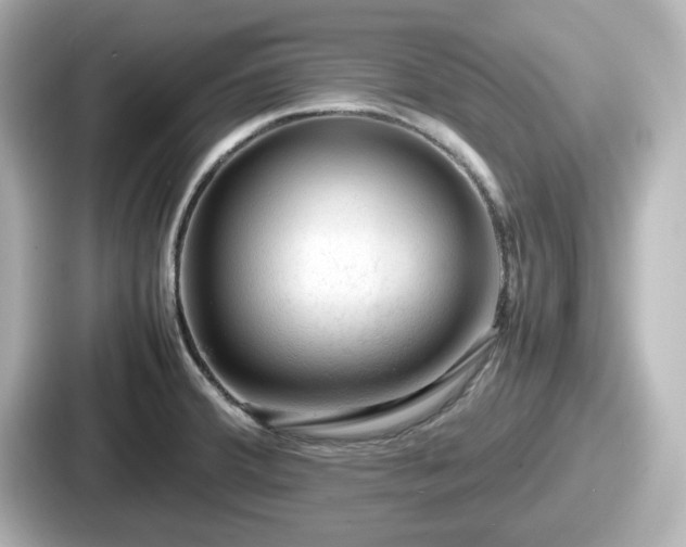 X0000087641380200705101039