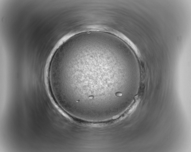 X0000087641381200705101039