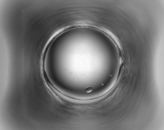 X0000087641384200705101039