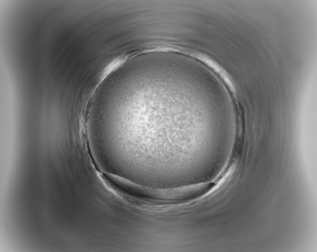 X0000087641385200705101039