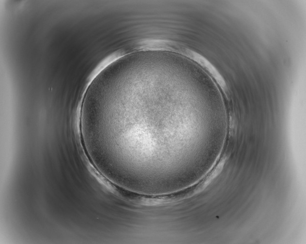 X0000087641386200705101039