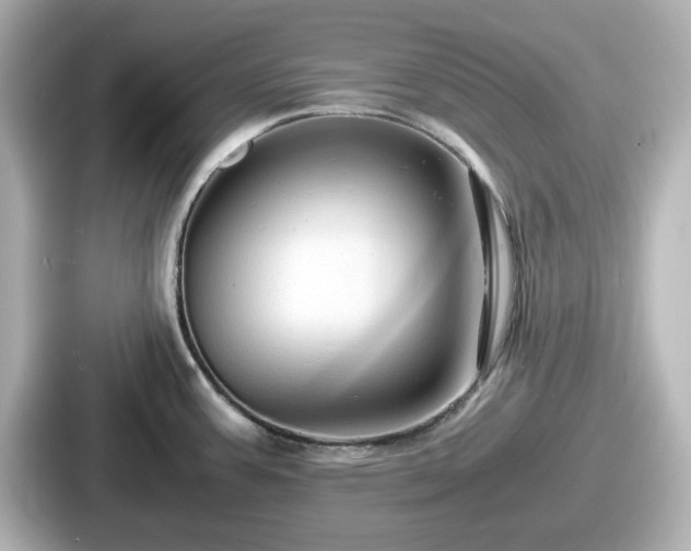 X0000087641387200705101039