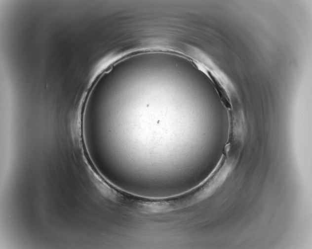 X0000087641388200705101039