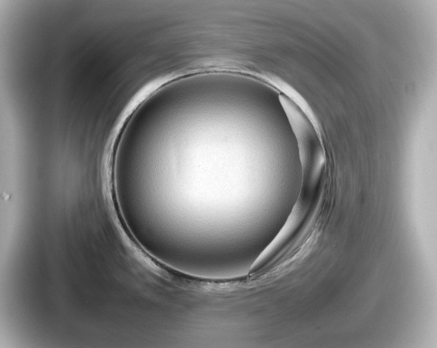 X0000087641389200705101039