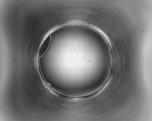 X0000087641390200705101039