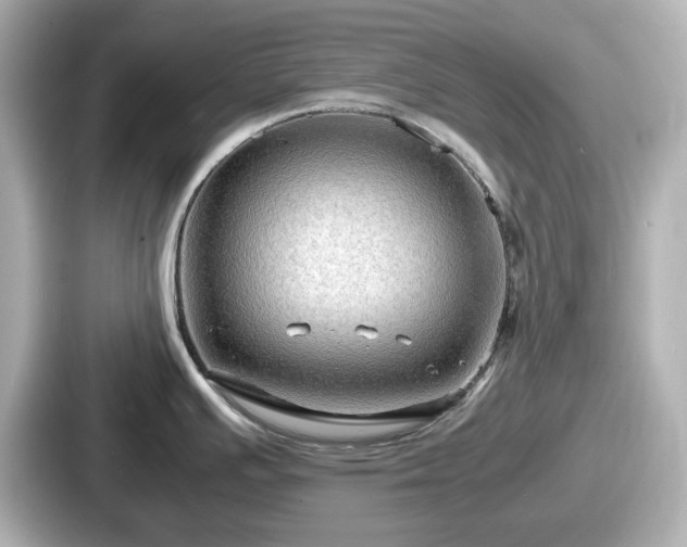 X0000087641391200705101039