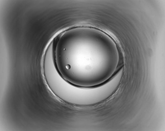 X0000087641392200705101039