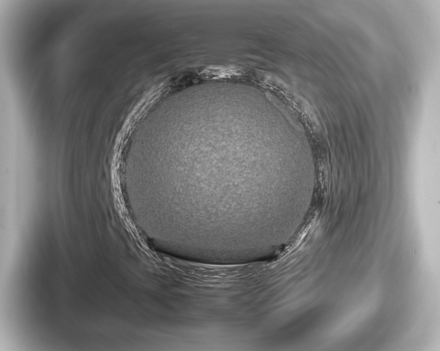 X0000087641393200705101038