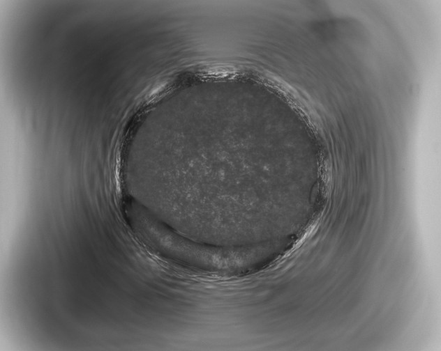 X0000087641394200705101038