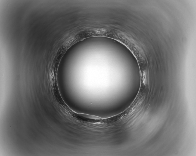 X0000087641395200705101038