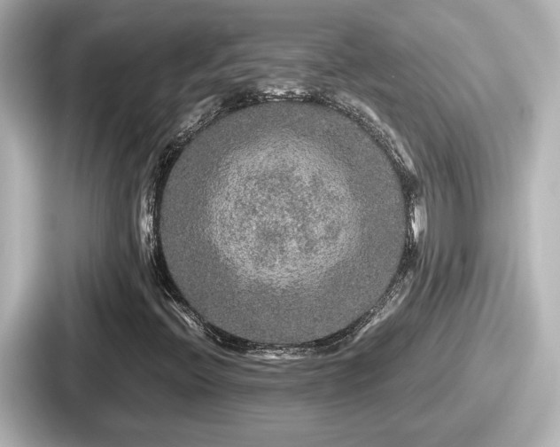 X0000087641396200705101038