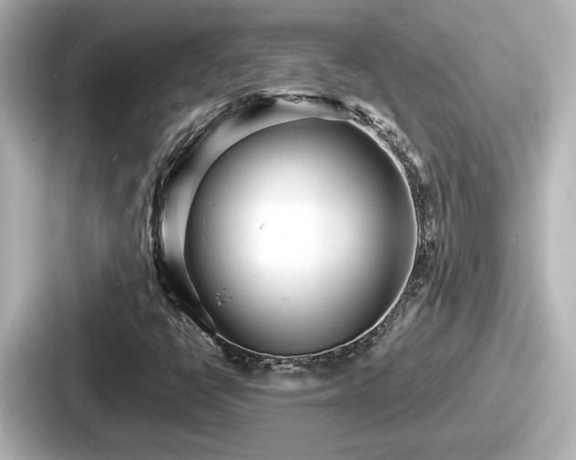 X0000087641398200705101038