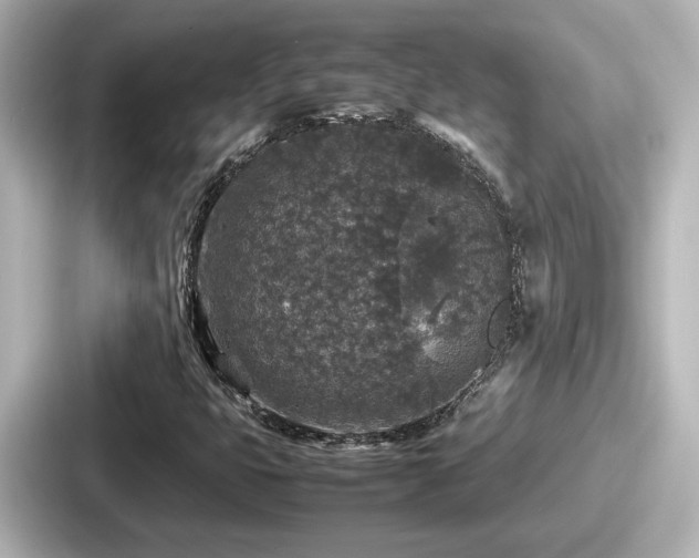 X0000087641399200705101038