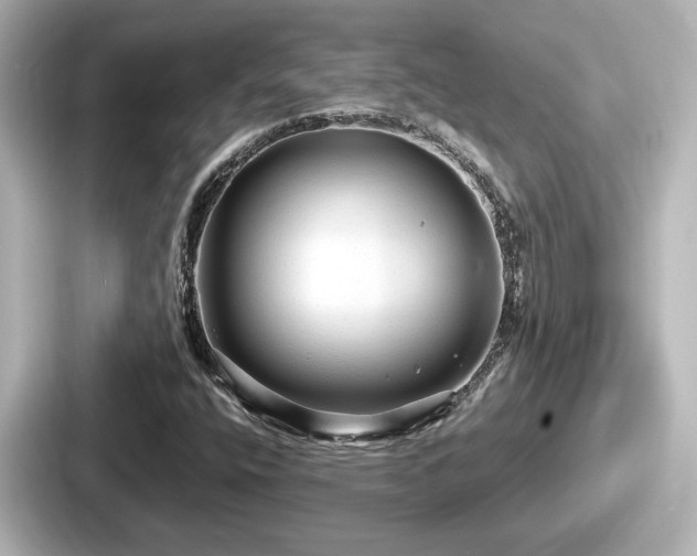 X0000087641400200705101038